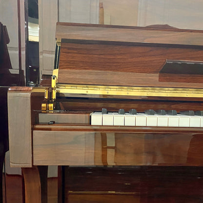 Image 3 of Hailun 121 Walnut Polish / 48"