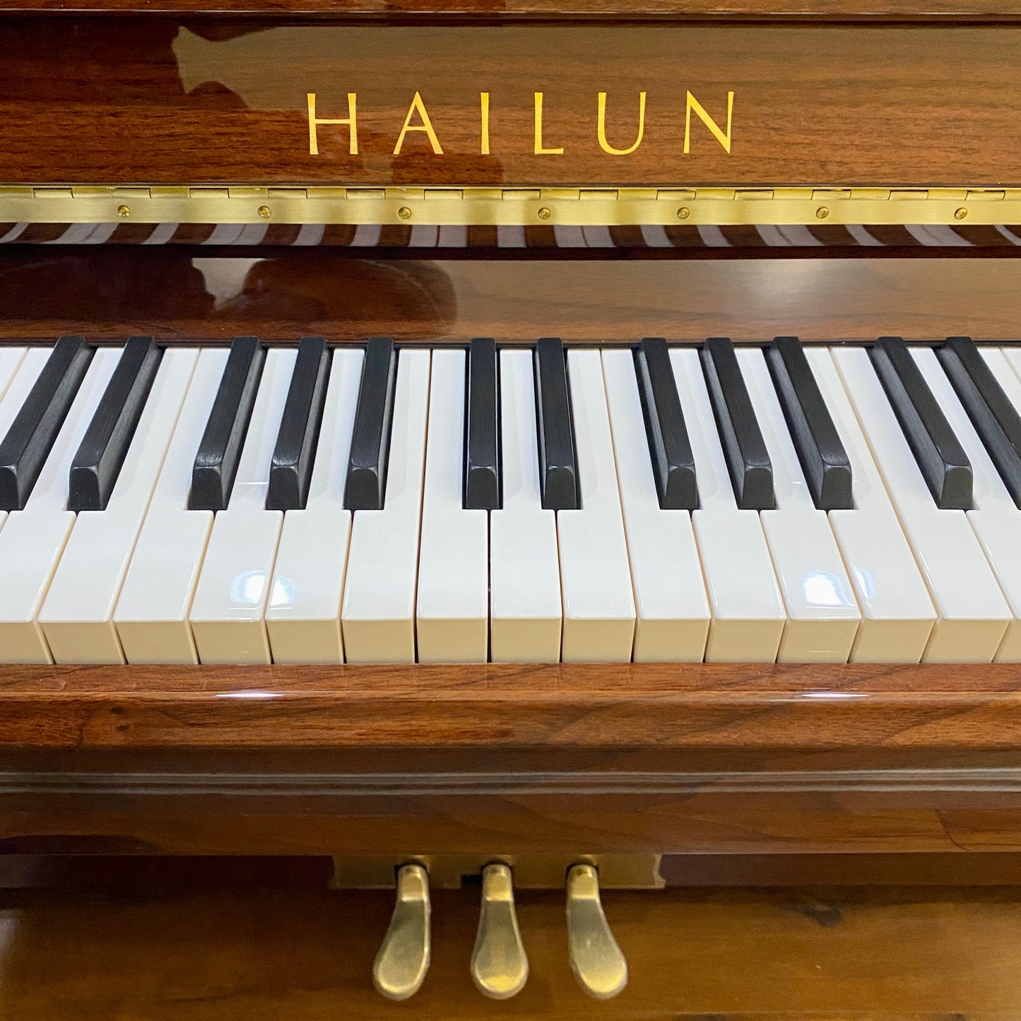 Image 6 of Hailun 121 Walnut Polish / 48"
