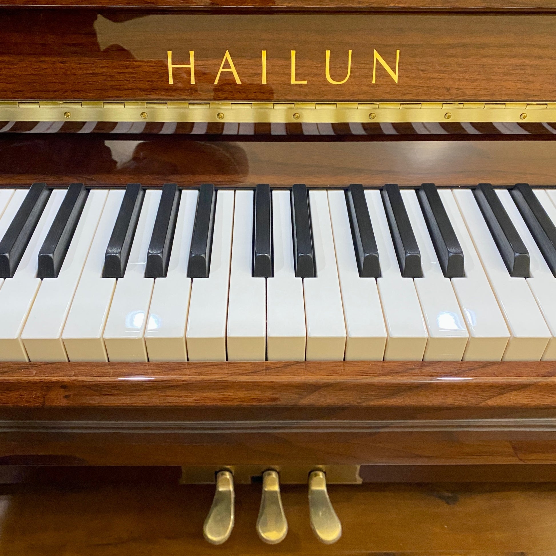Image 6 of Hailun 121 Walnut Polish / 48"