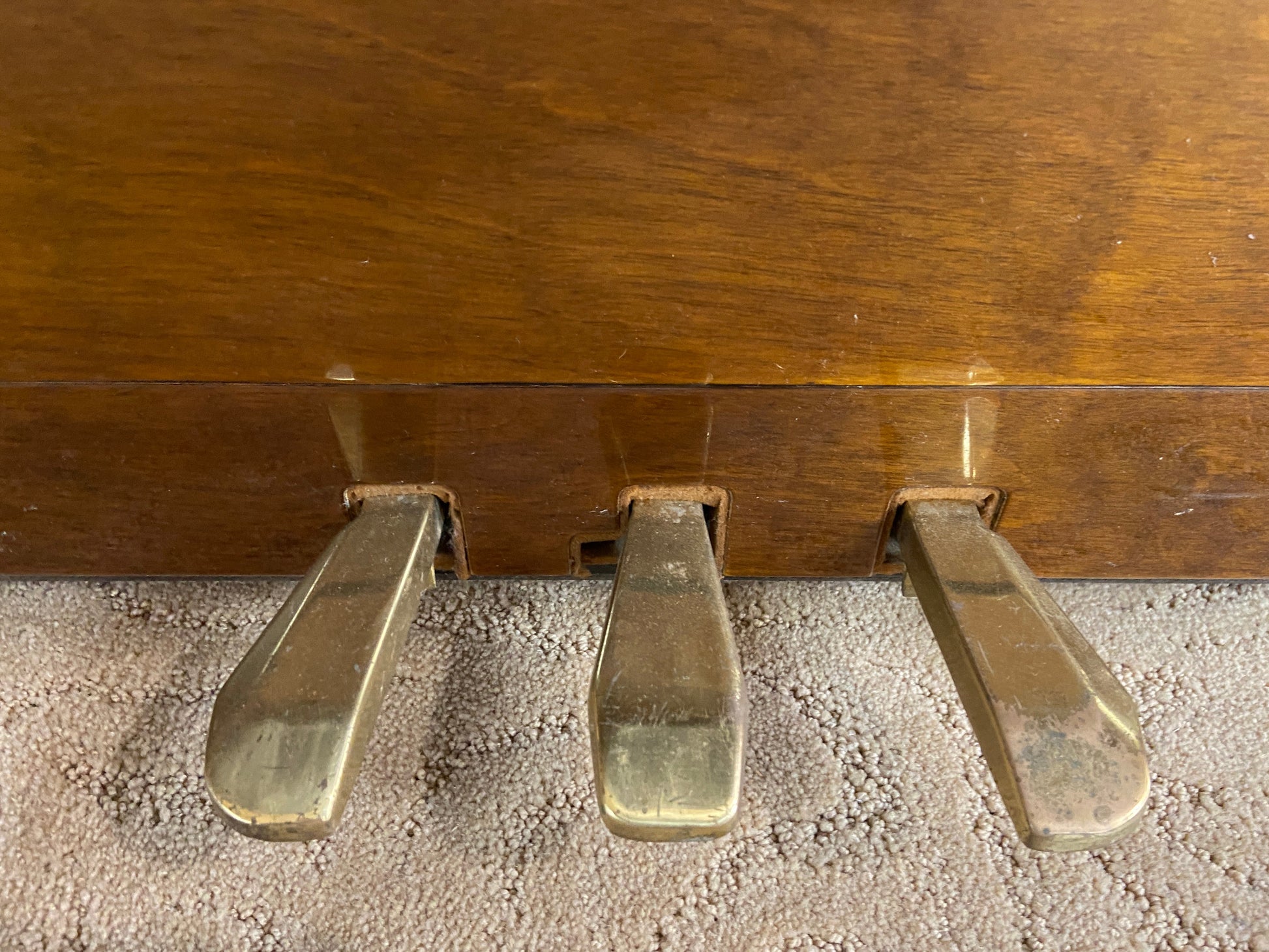 Image 15 of 1982 Tokai Upright Model C106LWP 42"