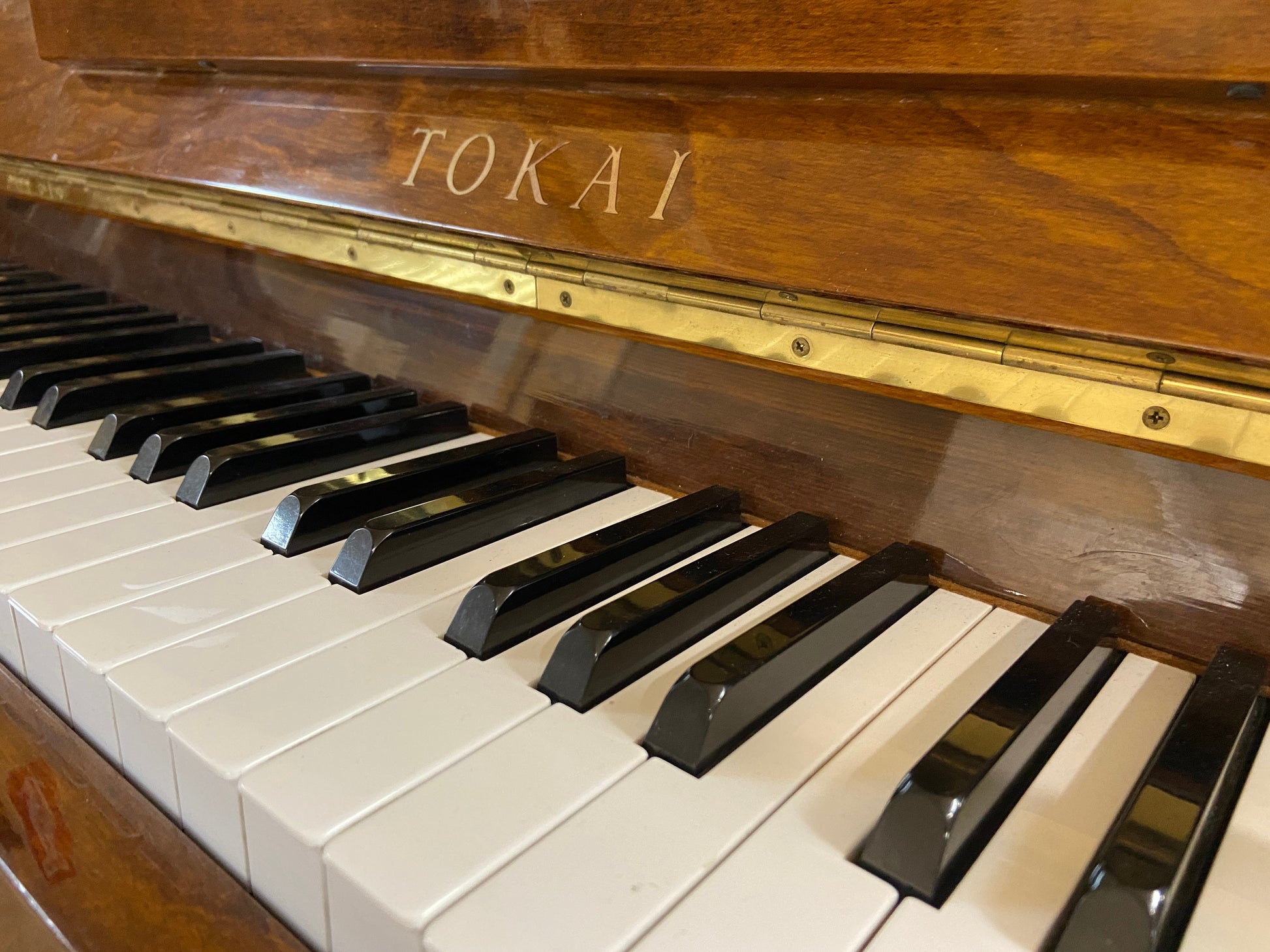 Image 16 of 1982 Tokai Upright Model C106LWP 42"