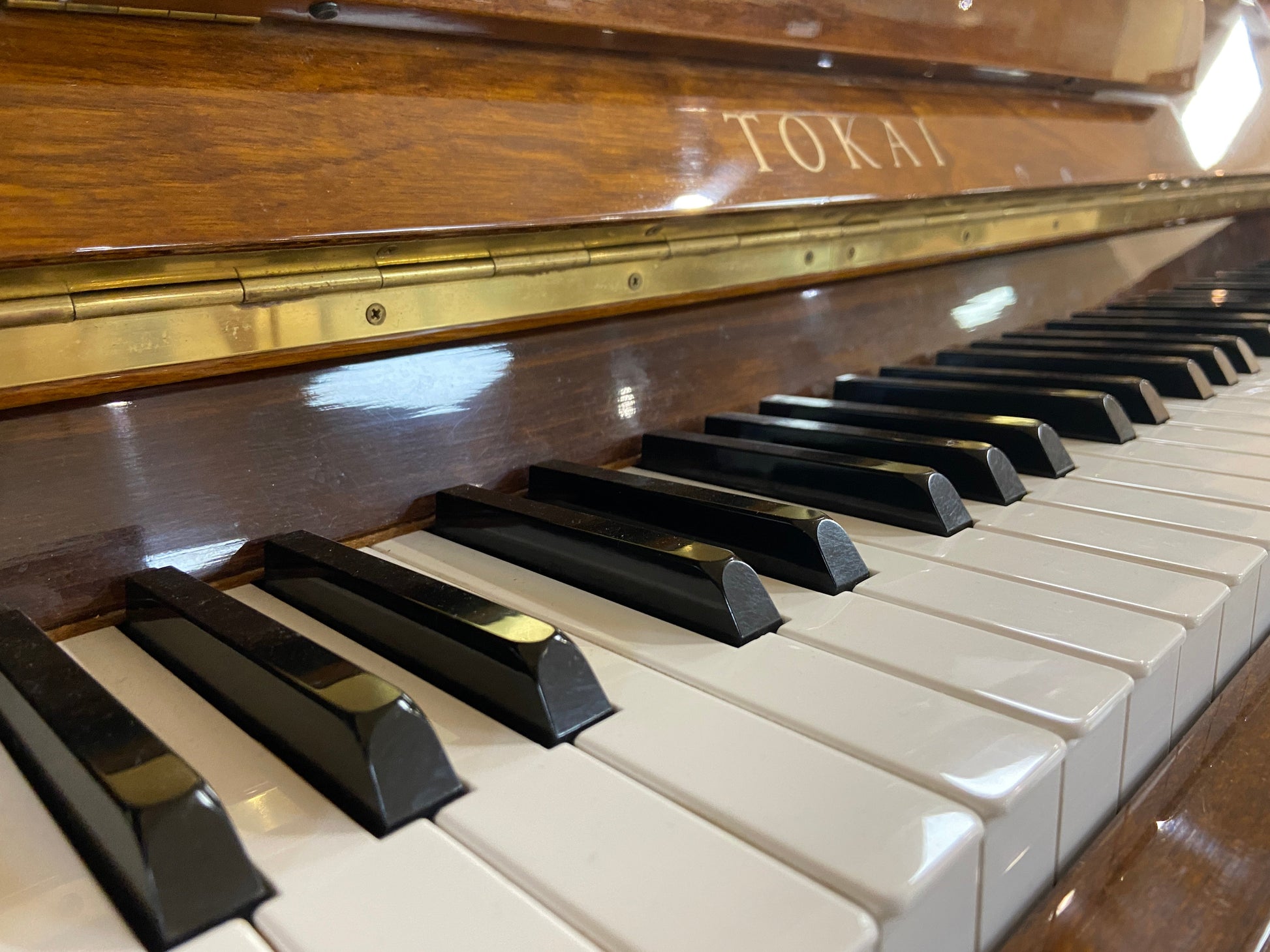 Image 22 of 1982 Tokai Upright Model C106LWP 42"