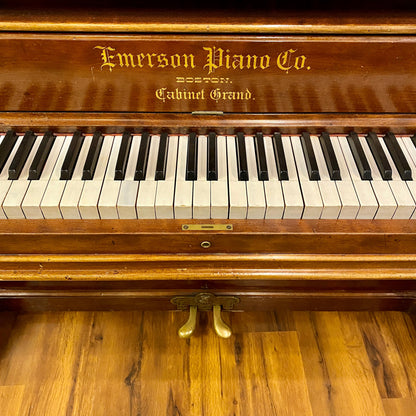 Image 4 of 1885 Emerson Upright