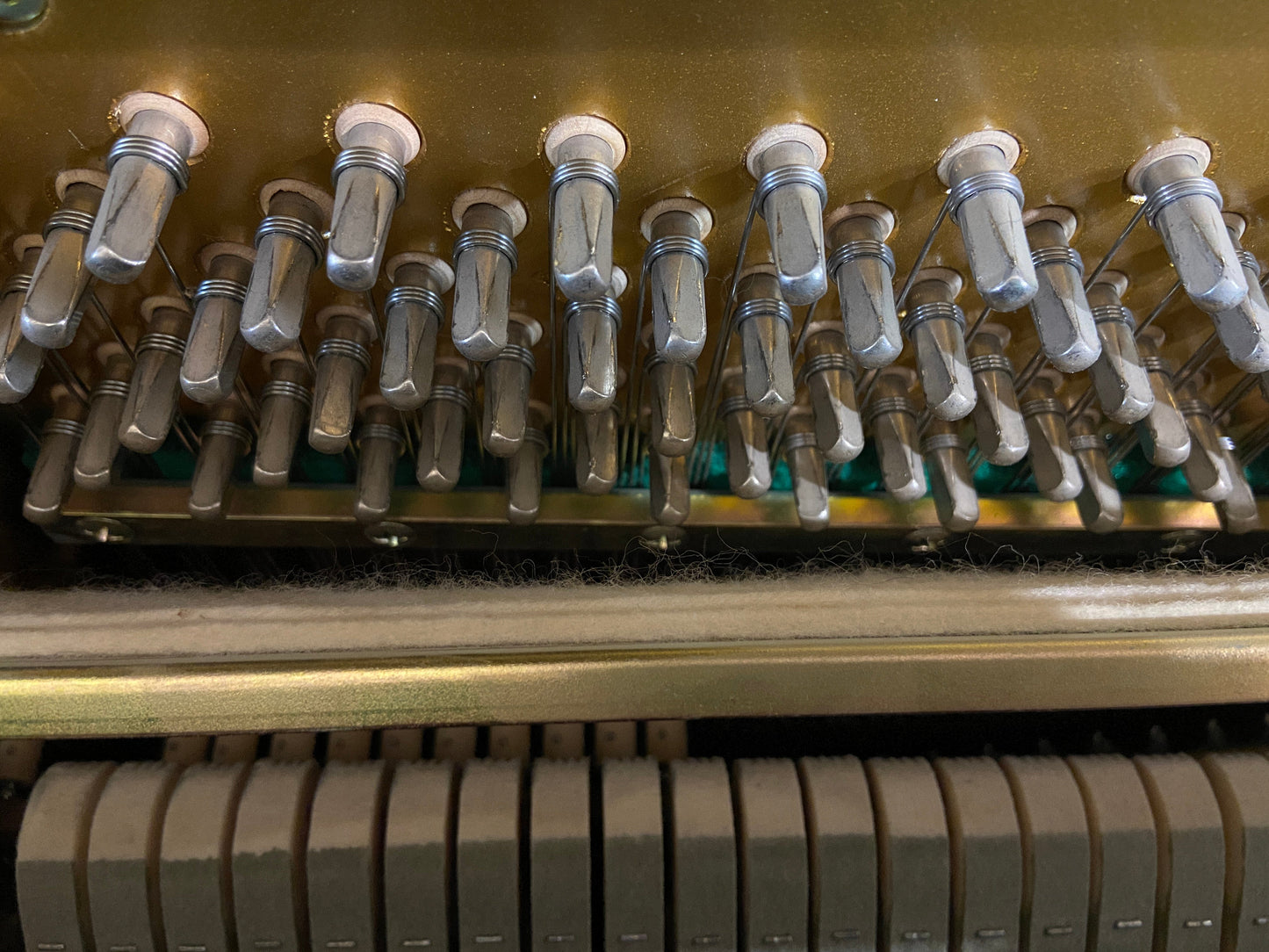 Image 25 of 1982 Tokai Upright Model C106LWP 42"