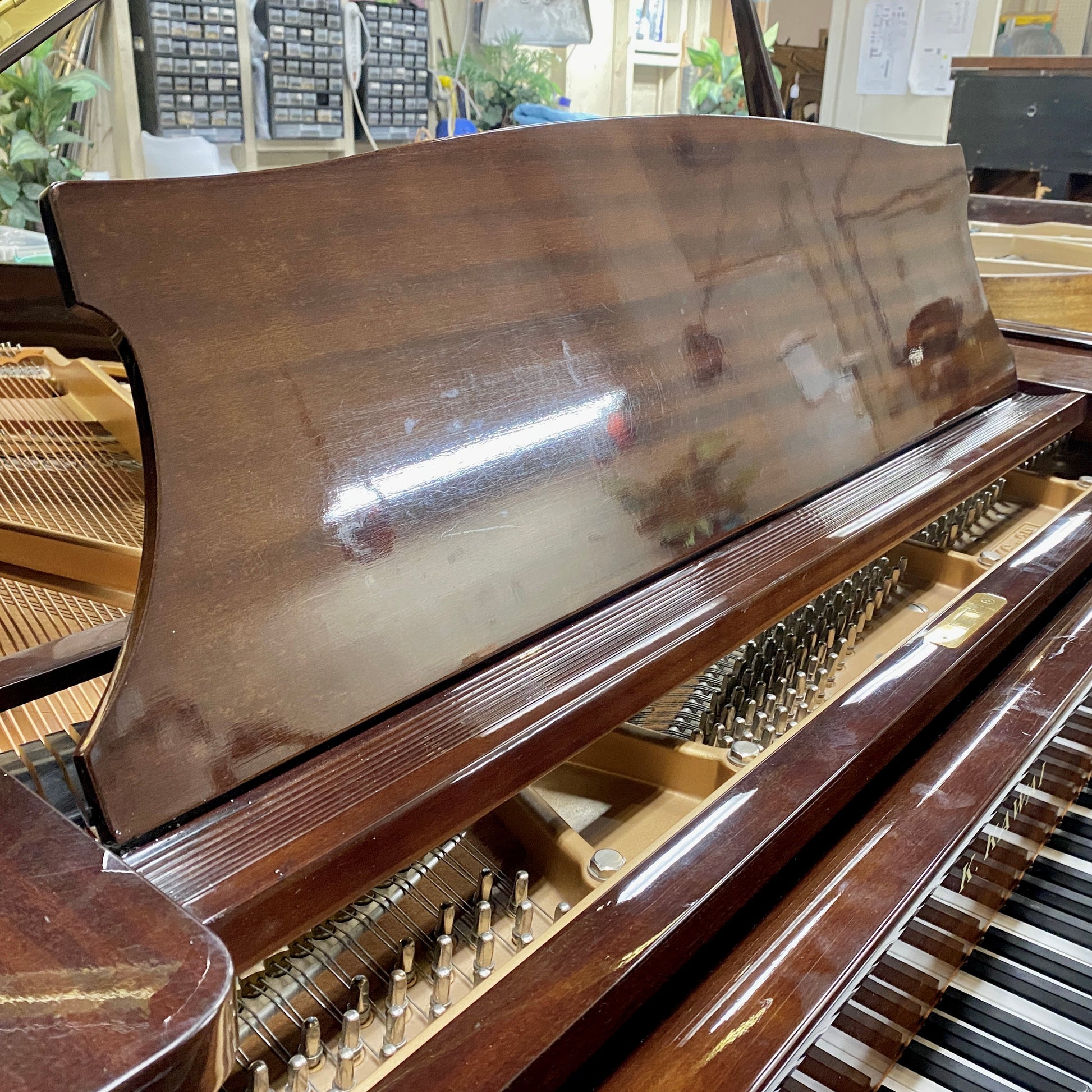 Image 6 of 1985 Kawai grand 5'10" Polished Walnut