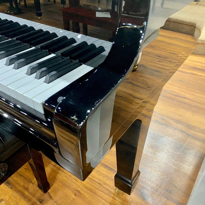 Image 7 of Hailun 151 Polished Black / 5' with QRS Self Playing System