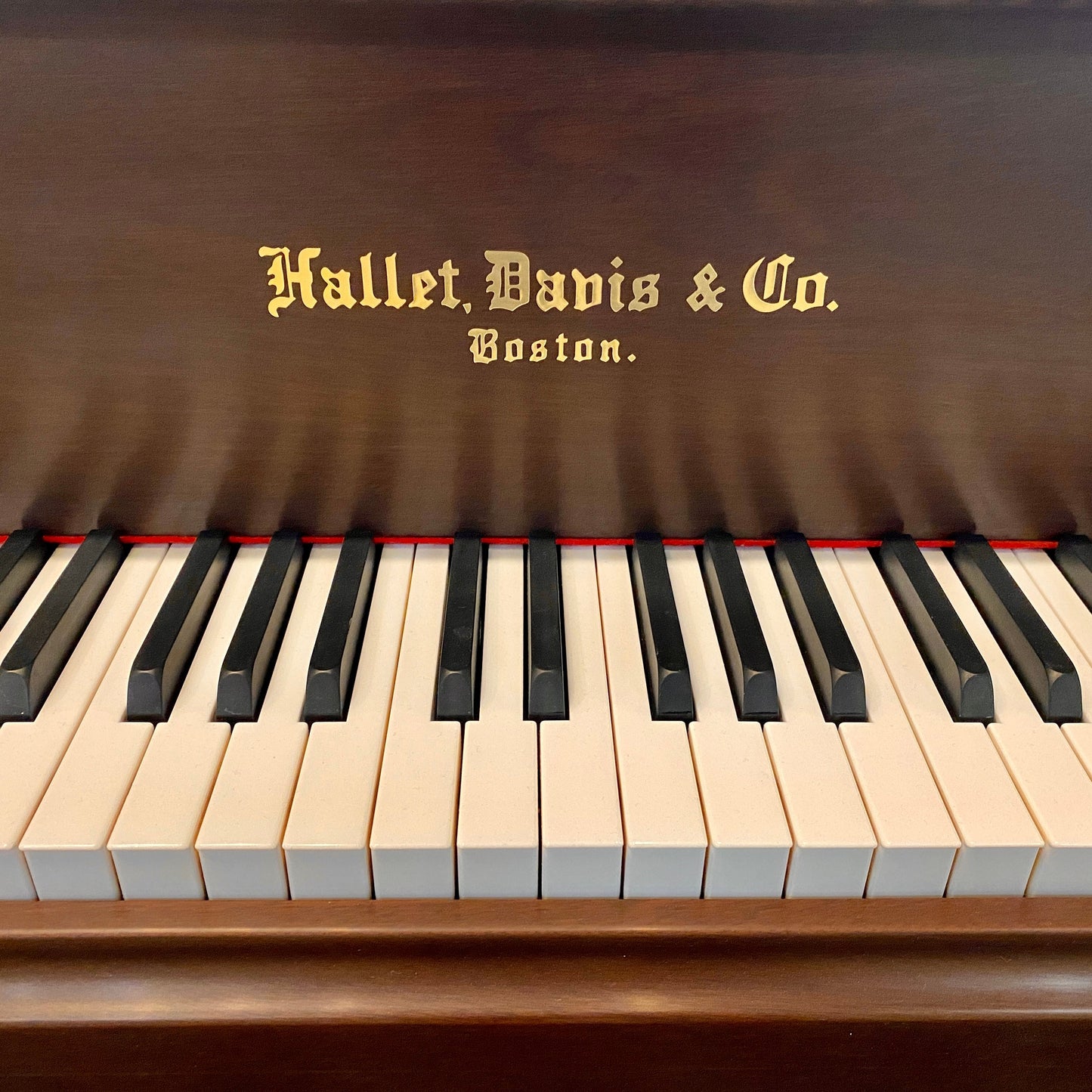 Image 3 of Hallet Davis 148 / 4'10" / Dark Satin Walnut 