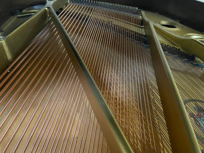 Image 12 of 1981 Knabe Grand / 5'7" with QRS Self Playing System