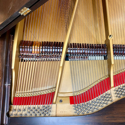 Image 9 of 1869 Decker & Bros Concert Grand 9' with QRS Self Playing System