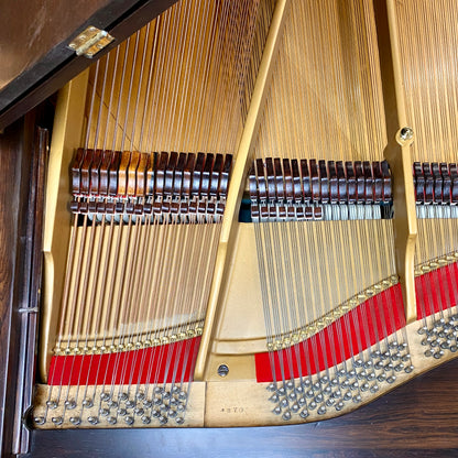 Image 9 of 1869 Decker & Bros Concert Grand 9'