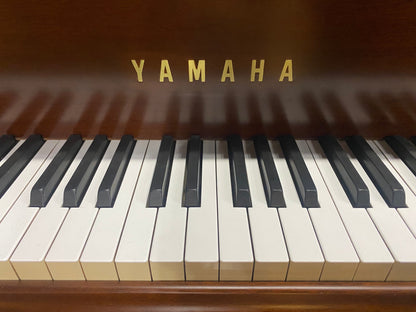 Image 10 of 1984 Yamaha G2 Grand, 5'6" / Walnut with QRS Self Playing System