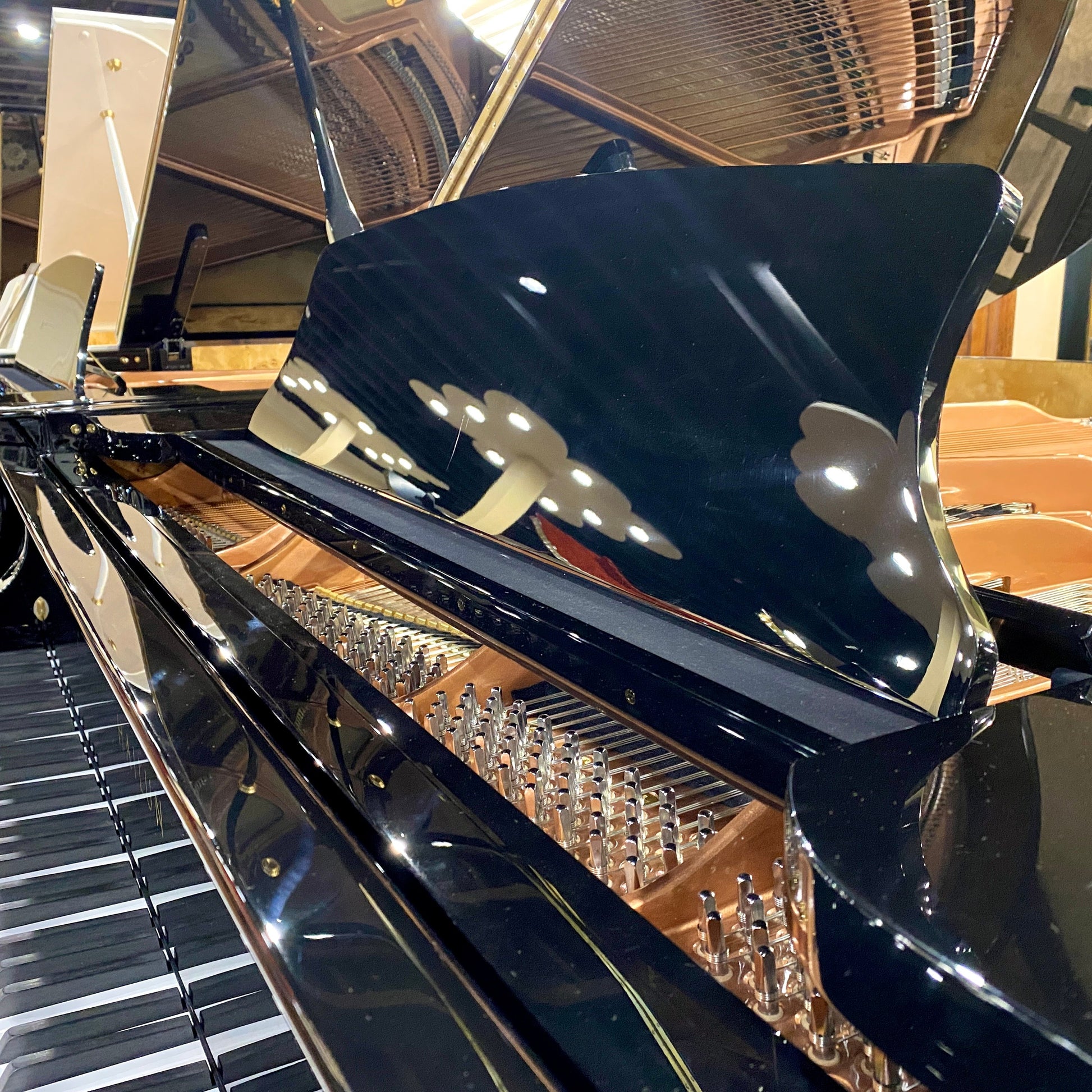 Image 6 of Hailun Grand 178 / Polished Ebony / 5'10"