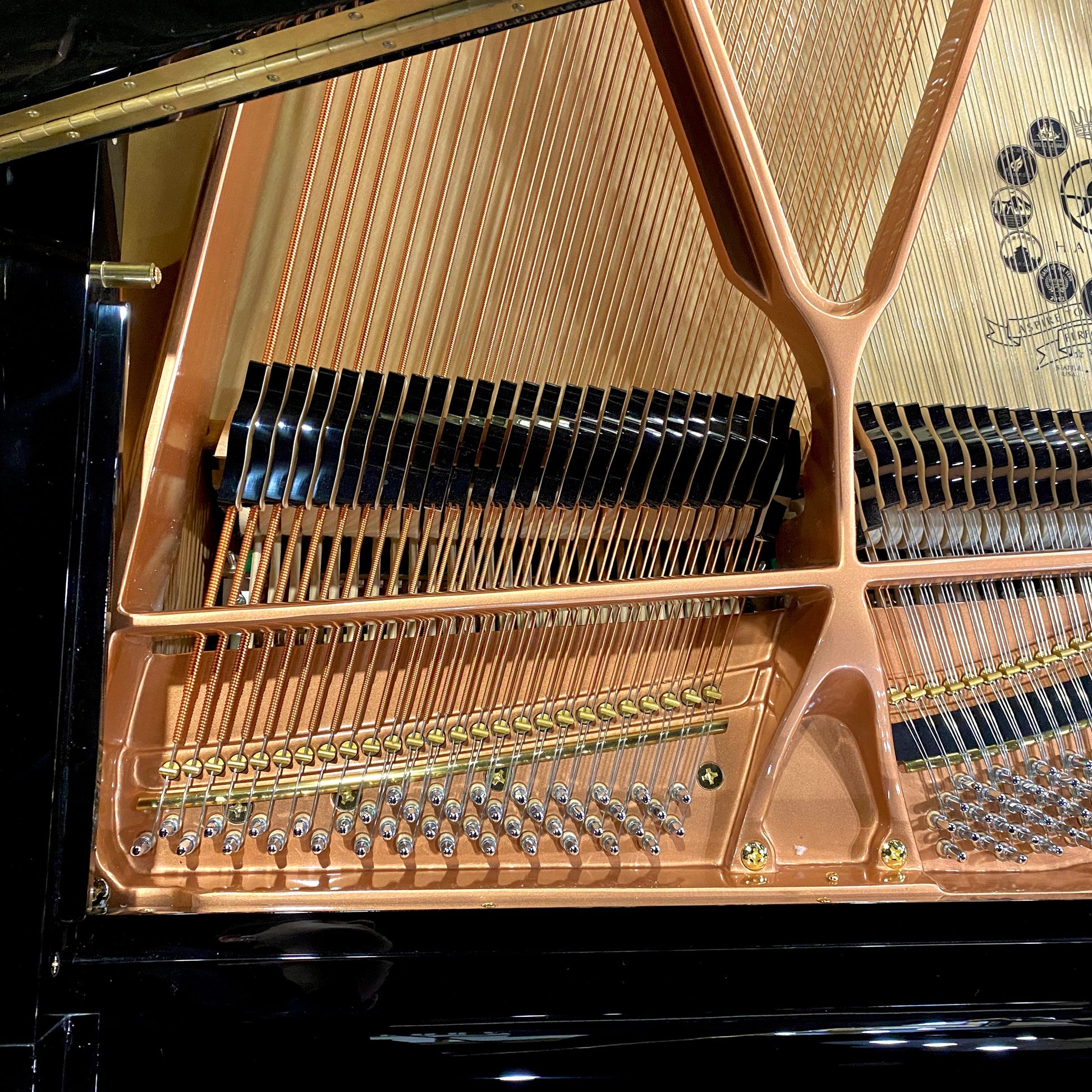 Image 10 of Hailun Grand 178 / Polished Ebony / 5'10"