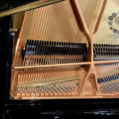 Image 10 of Hailun Grand 178 / Polished Ebony / 5'10"