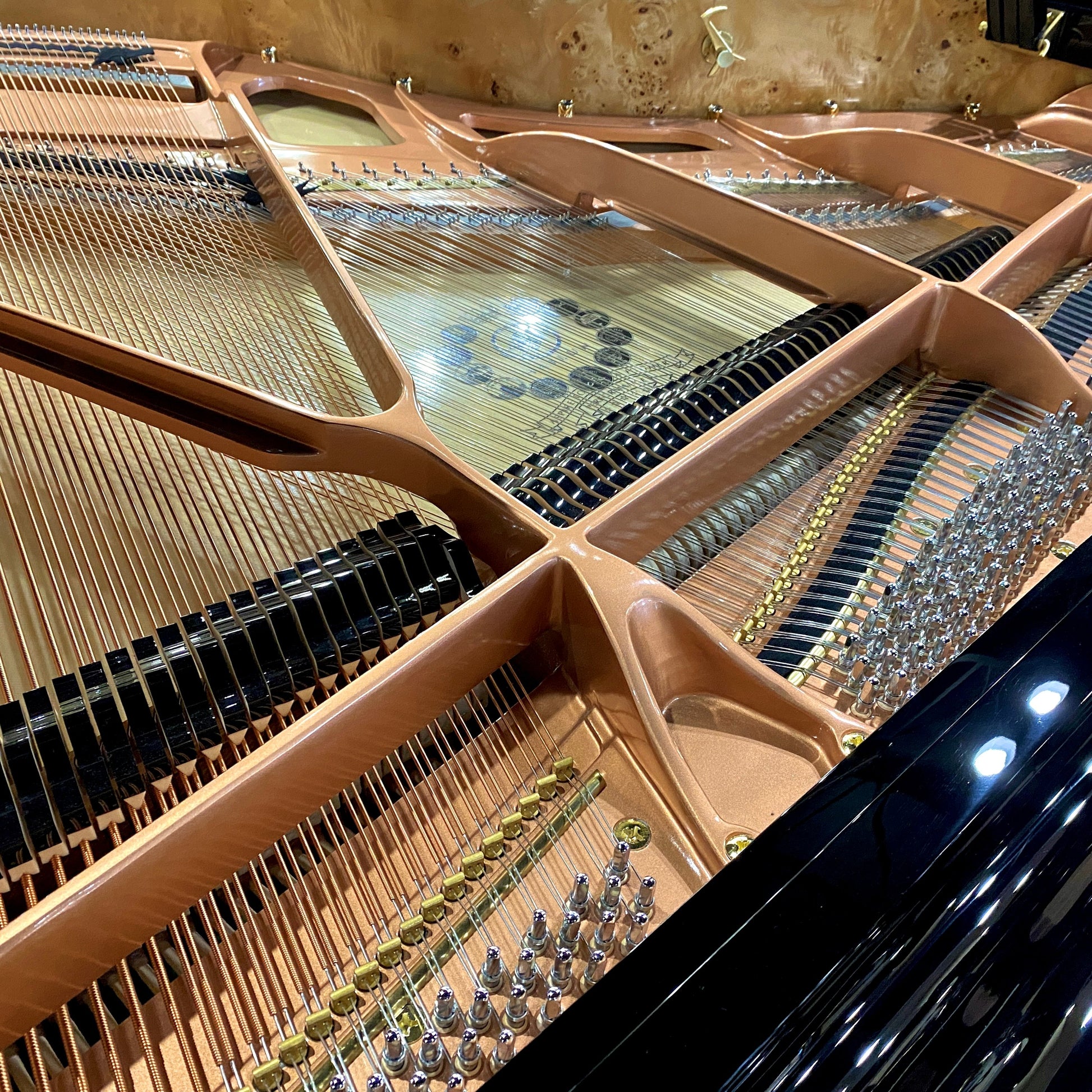 Image 11 of Hailun Grand 178 / Polished Ebony / 5'10"