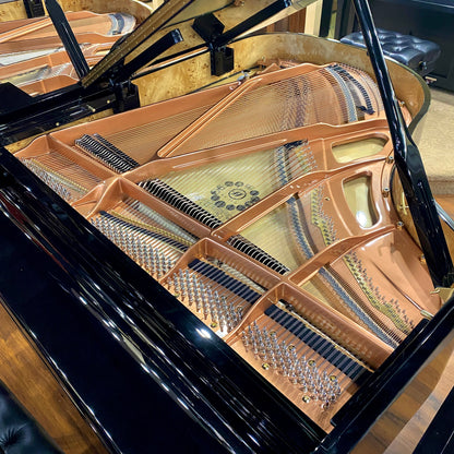 Image 12 of Hailun Grand 178 / Polished Ebony / 5'10"