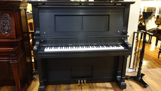 Image of the Piano For Sale