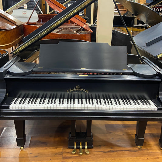 Image of the Piano For Sale