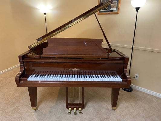 Image of the Piano For Sale