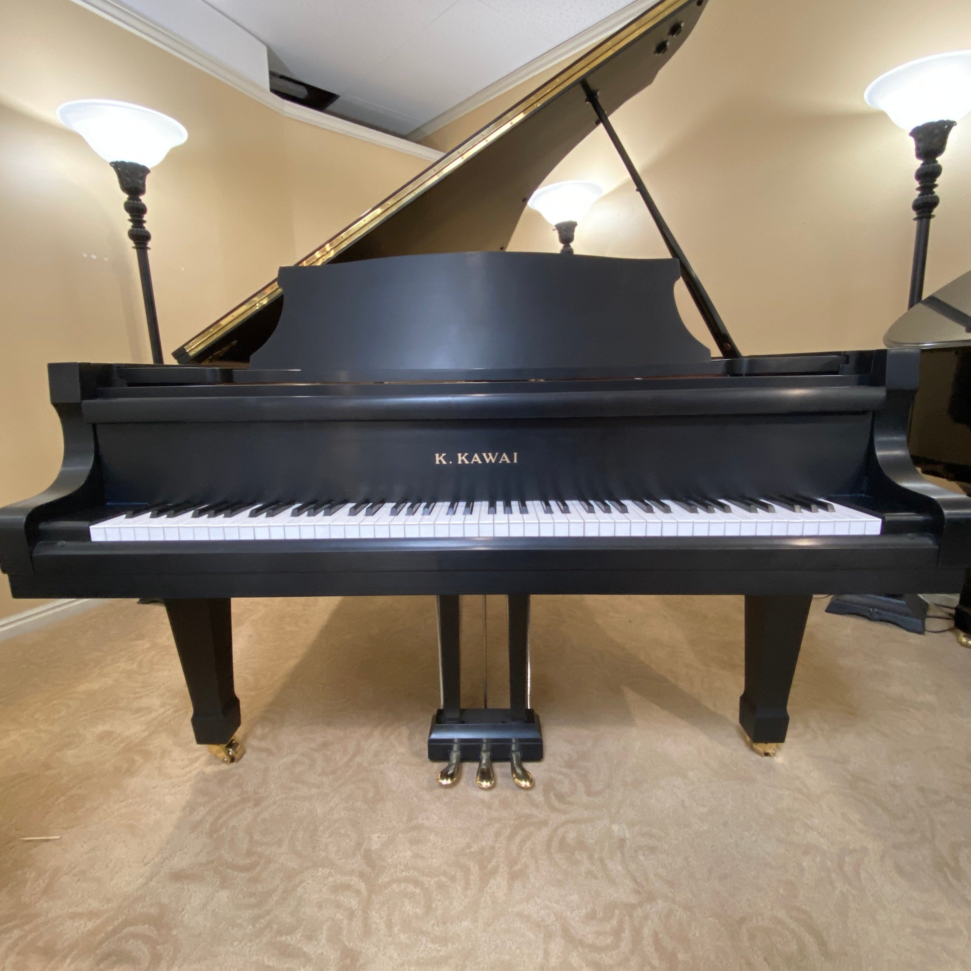 Image of the Piano For Sale