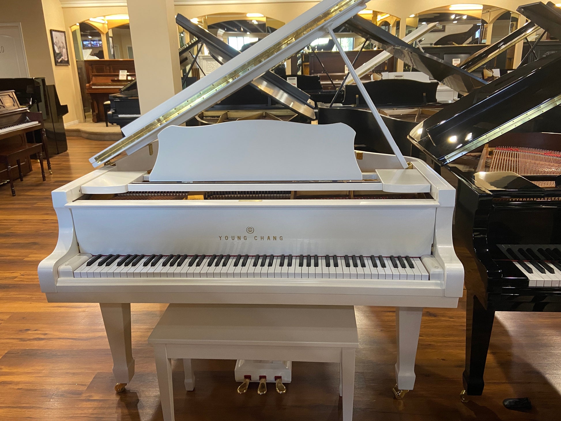 Image 12 of Like New Grand Piano