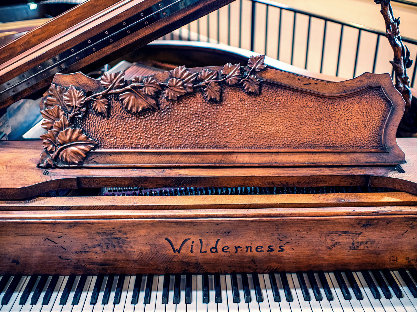 Image 6 of (WILDERNESS) Grand Piano Lester